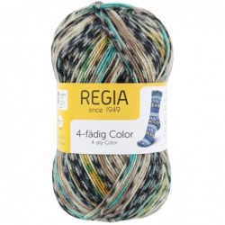 Regia On the Top Color 4-ply