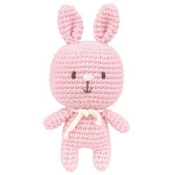 Mini Amigurumi Kit Renée...