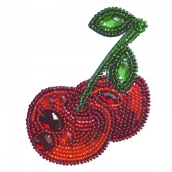 Kit Broche para Bordar con...