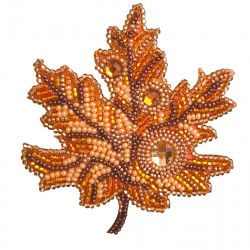 Kit Broche para Bordar con...