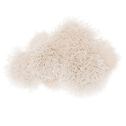 Kit de Latch Hooking - Nube...
