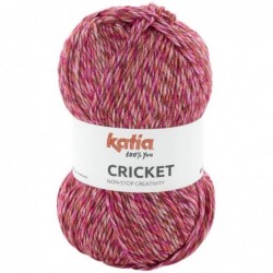 Katia Cricket
