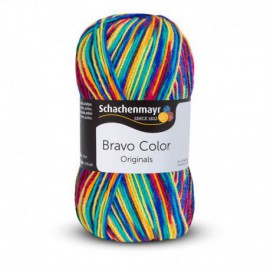 Schachenmayr Bravo Color