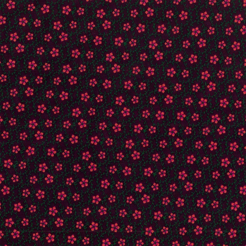 Enrredadera con Flores Enrredadera con Flores