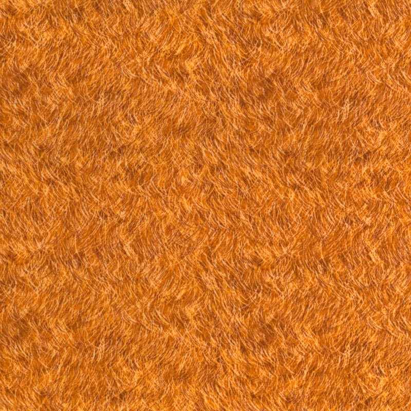 Animal Hair Animal Hair