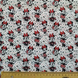 Cotton Fabric - Minnie...