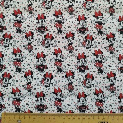 Cotton Fabric - Minnie...