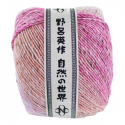 Noro Akari