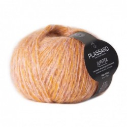 Plassard Jupiter