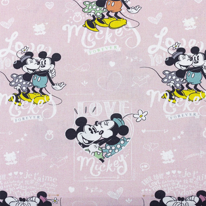 minnie and mickey mouse in love