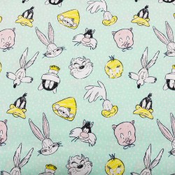 Fabric Cotton - Looney...