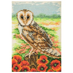 Cross Stitch Kit - Owl -...