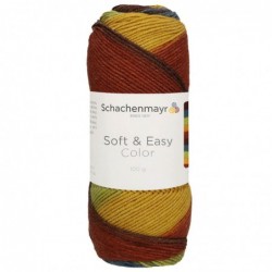Schachenmayr Soft & Easy Color