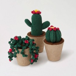 Crochet Cactus Kit - DMC