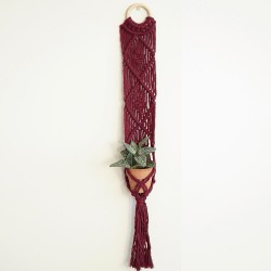 Macrame Kit - Bali Plant...