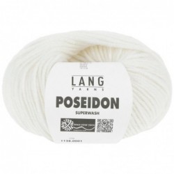 Lang Yarns Poseidon