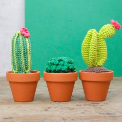 Amigurumi Kit - Cactus -...