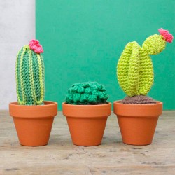 Kit de Amigurumi - Cactus -...