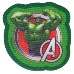 Hulk The Avengers...