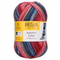 Regia Autumn Color 8-ply