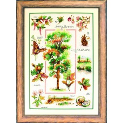 Anchor Cross Stitch Kit -...
